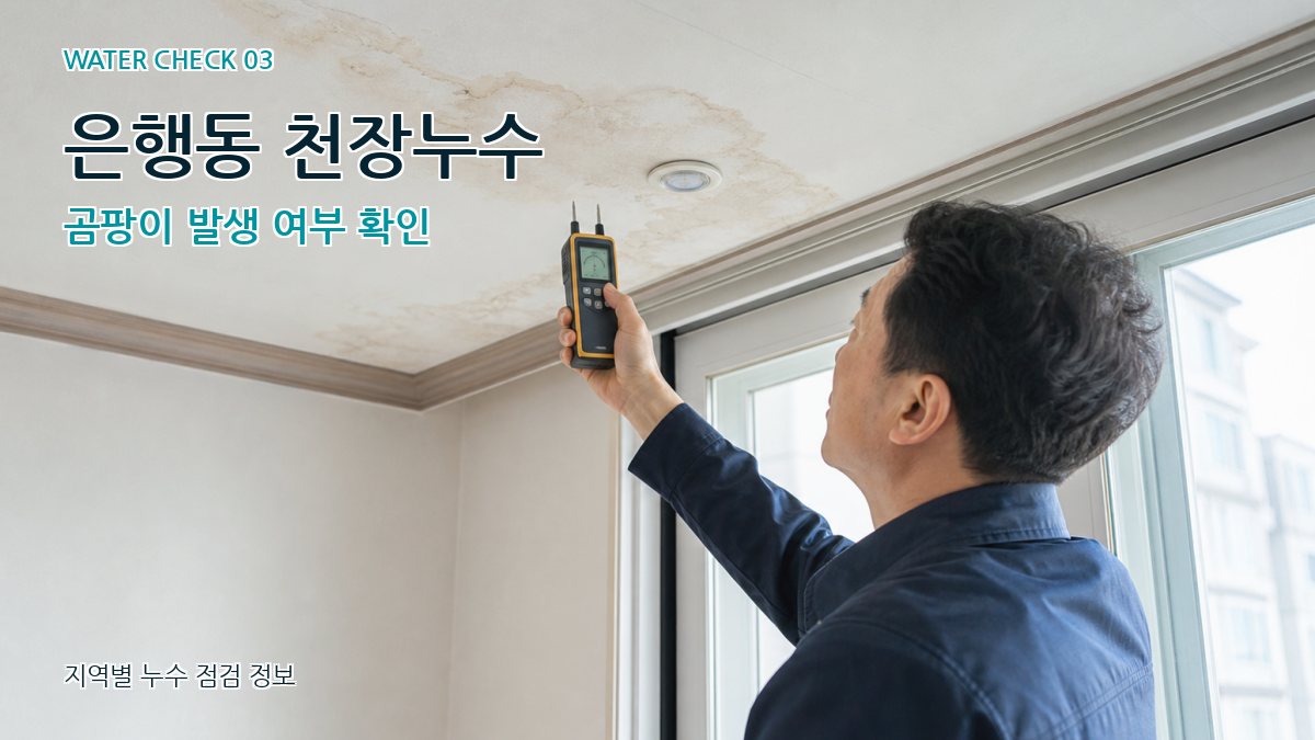 은행동 천장누수 곰팡이 발생 여부 확인